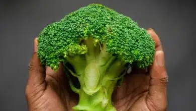 Broccoli's nutrients, benefits and nutritious dishes