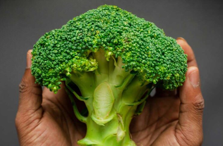 Broccoli's nutrients, benefits and nutritious dishes