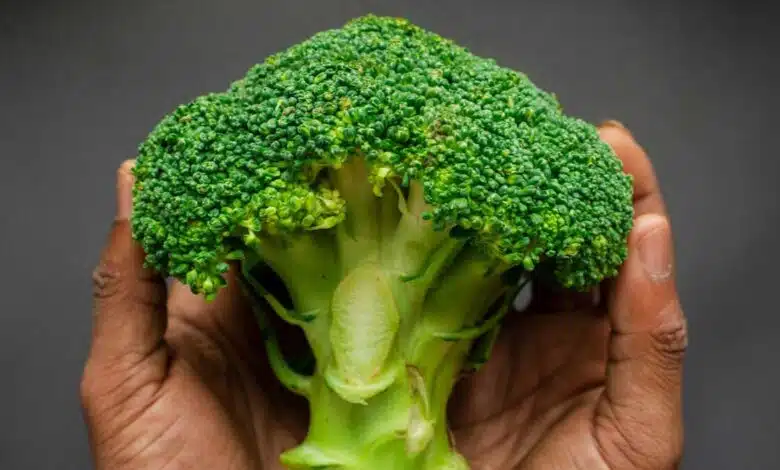 Broccoli's nutrients, benefits and nutritious dishes