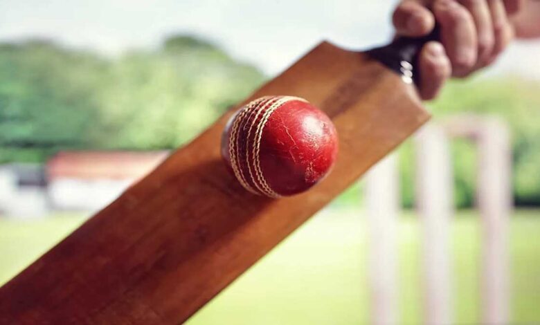 Cricket Confluence of sports and culture in India