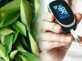 Curry leaves beneficial for sugar