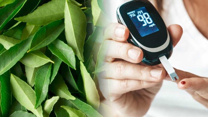 Curry leaves beneficial for sugar