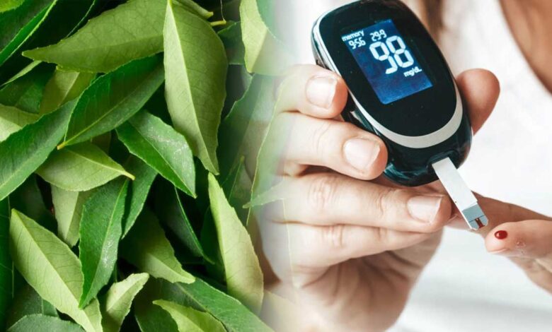 Curry leaves beneficial for sugar