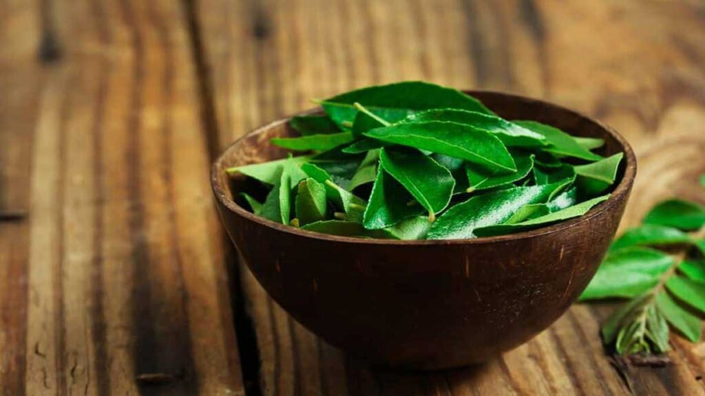 Curry leaves beneficial for sugar