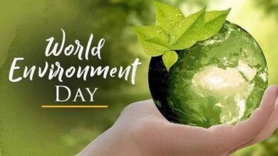 Environment: Basis of existence, ocean of challenges