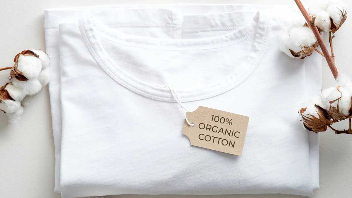 Fashion Sustainable and Environmental