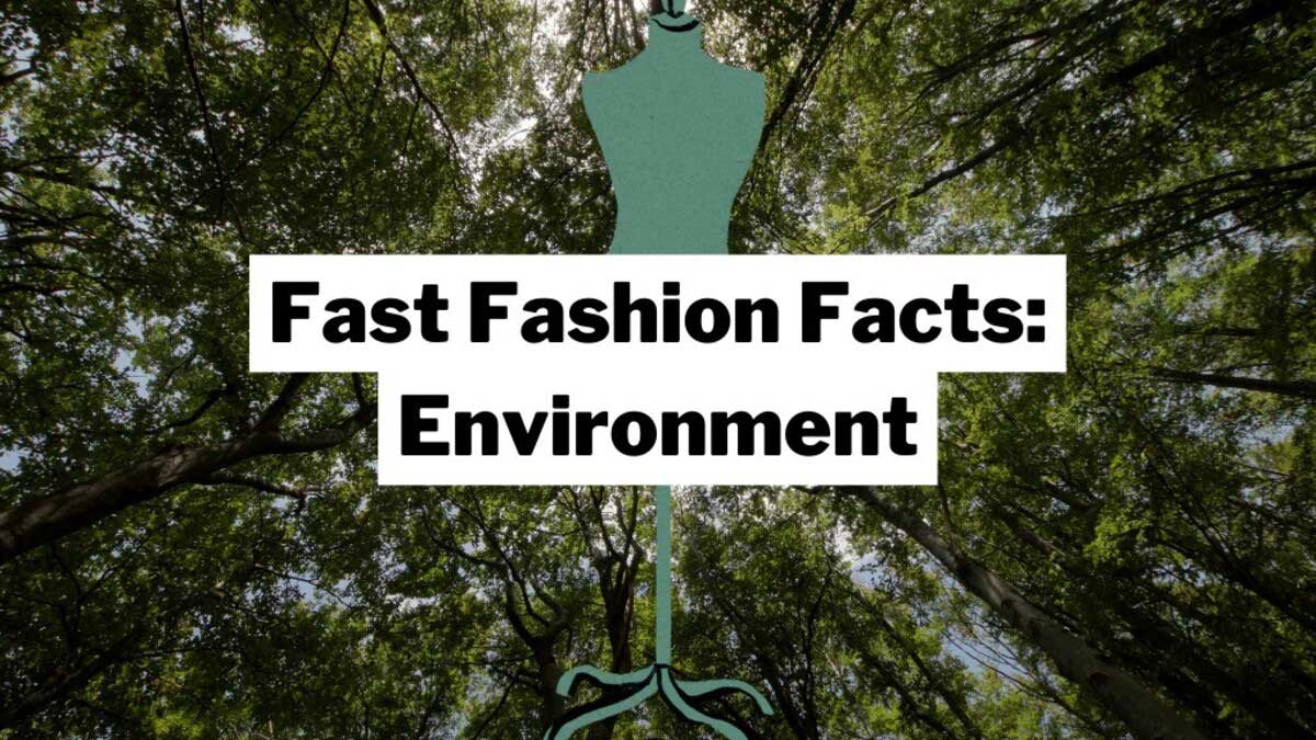 Fashion Sustainable and Environmental