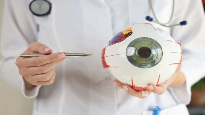 General knowledge of eye diseases