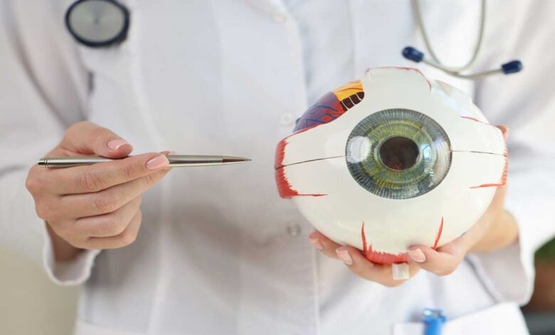 General knowledge of eye diseases