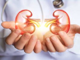 How does kidney work step by step
