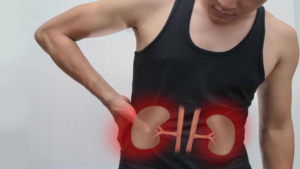 How does kidney work step by step 3
