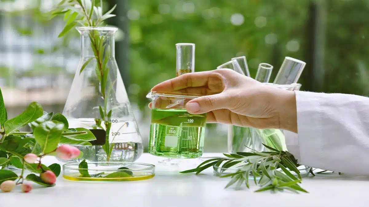 Know the experienced methods and remedies of skincare Know the experienced methods and remedies of skincare
