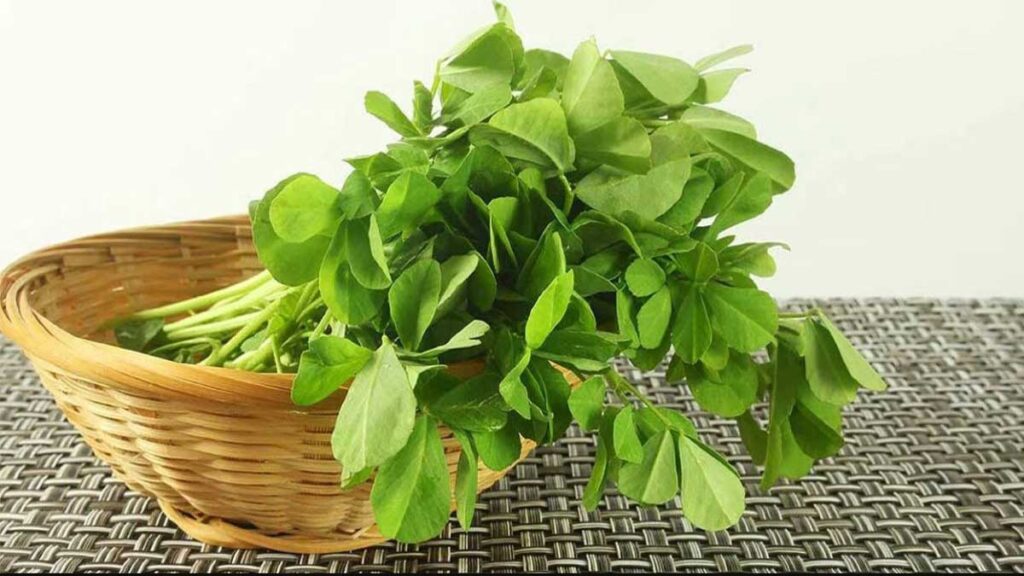 Methi: Which helps in weight loss