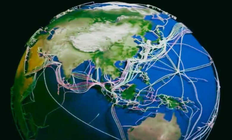 Plastic net is the wound of our earth