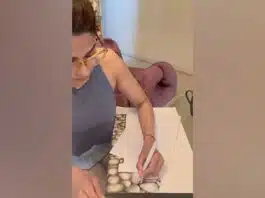 shamita shetty shows off her sketching talent