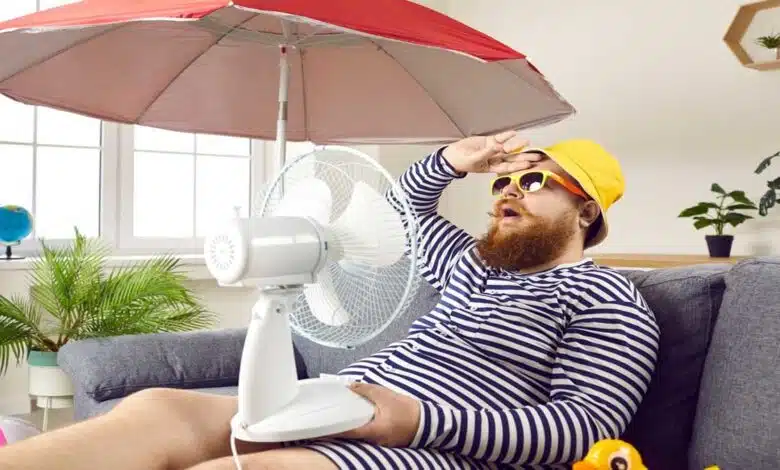 Summer Rust How to survive the summer season