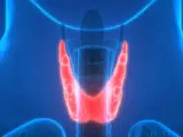 What is Thyroid