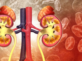 Which is the best fruit for kidneys