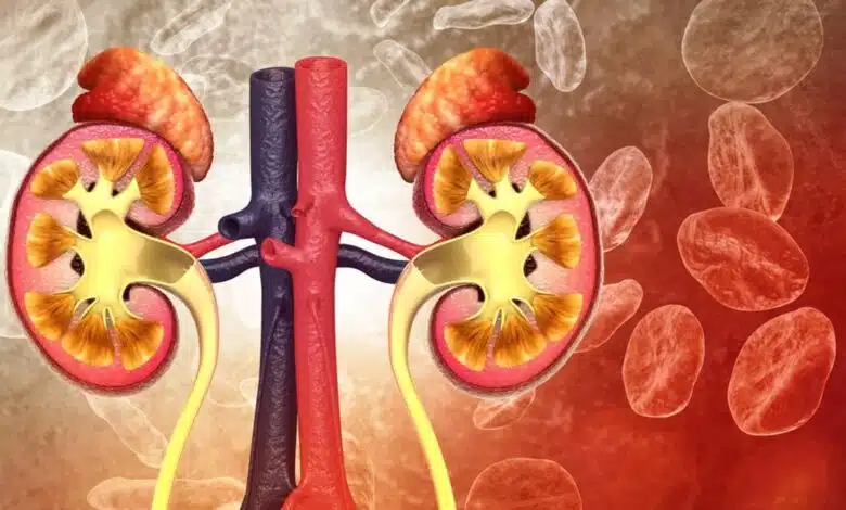 Which is the best fruit for kidneys