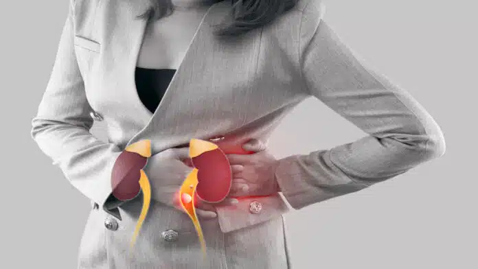 Why do kidney diseases occur?