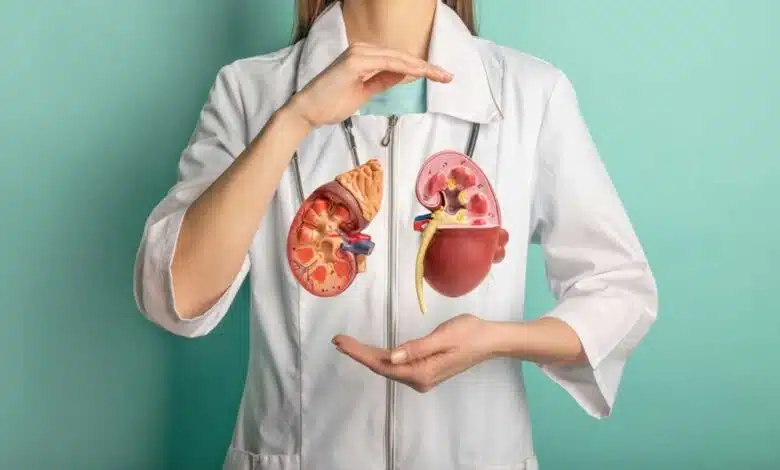 Why is kidney care important?