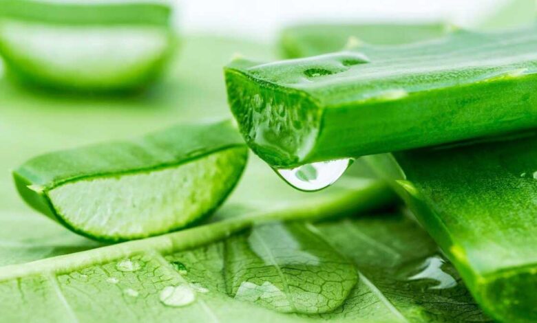 aloe-vera-benefits-and-side-effects
