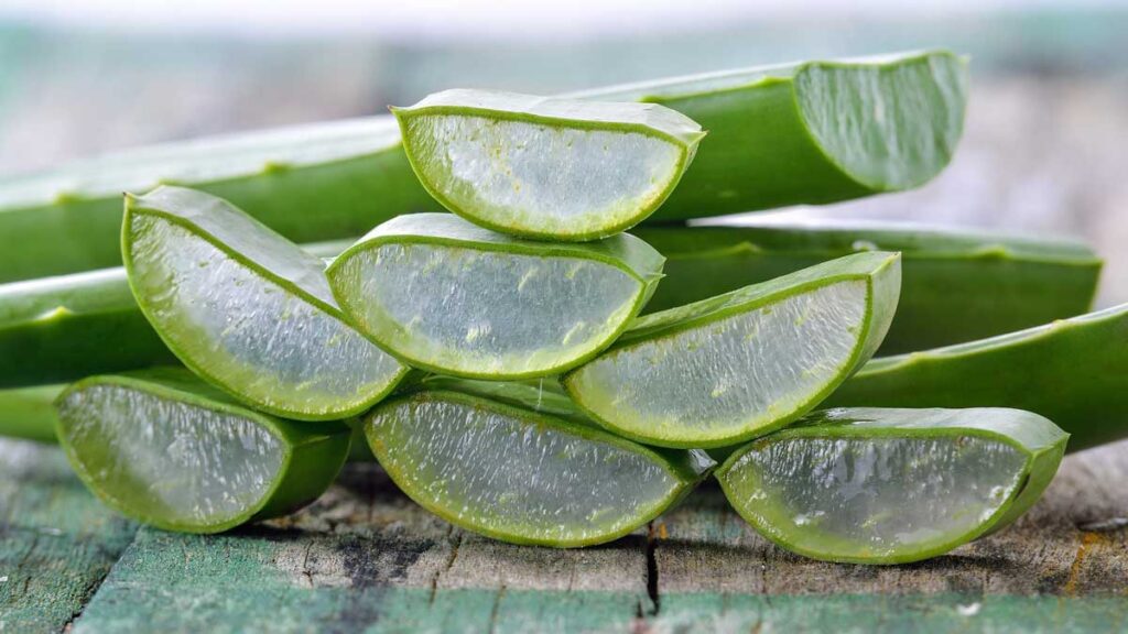 aloe-vera-benefits-and-side-effects