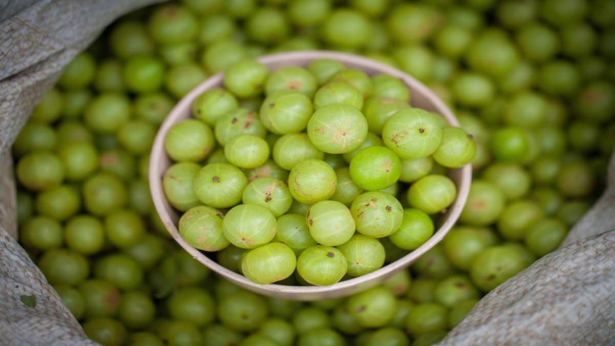ayurvedic treatment of diabetes 3