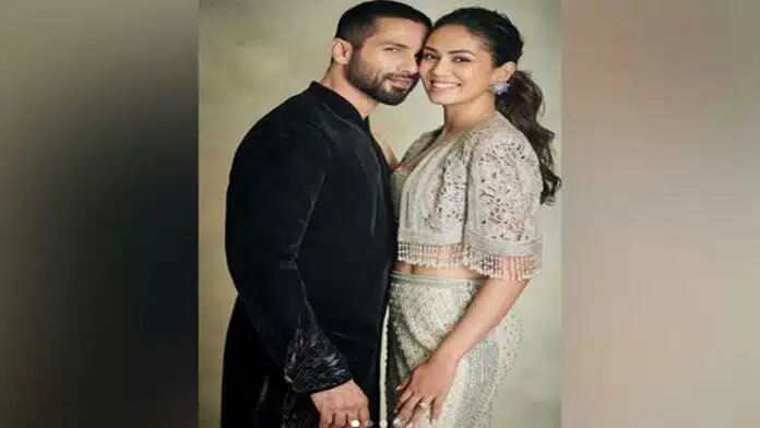 Mira Kapoor reacts to Shahid's leaked itinerary