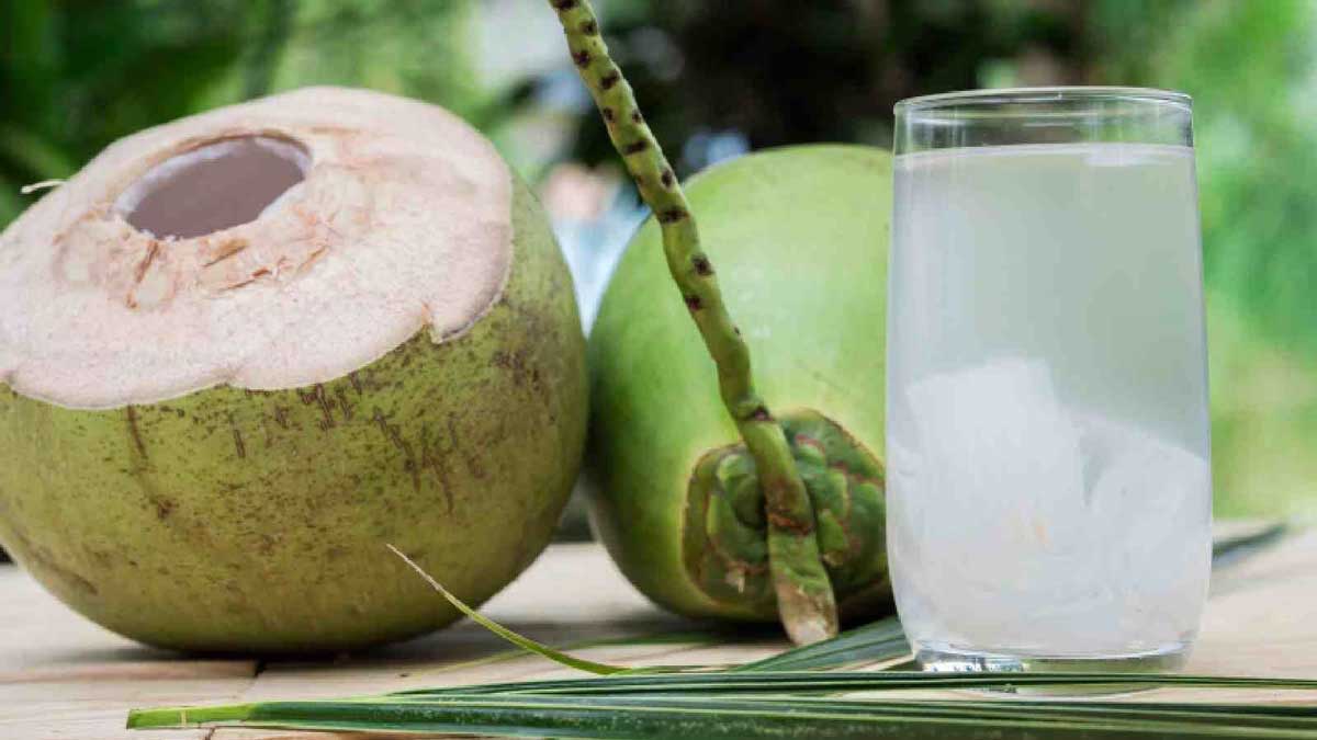 10 Immunity Boosting Drinks You Can Try in Sumer