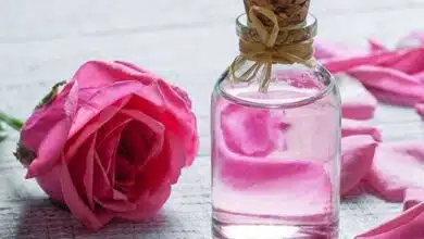 10 Rose water benefits and uses for skin, hair and eyes