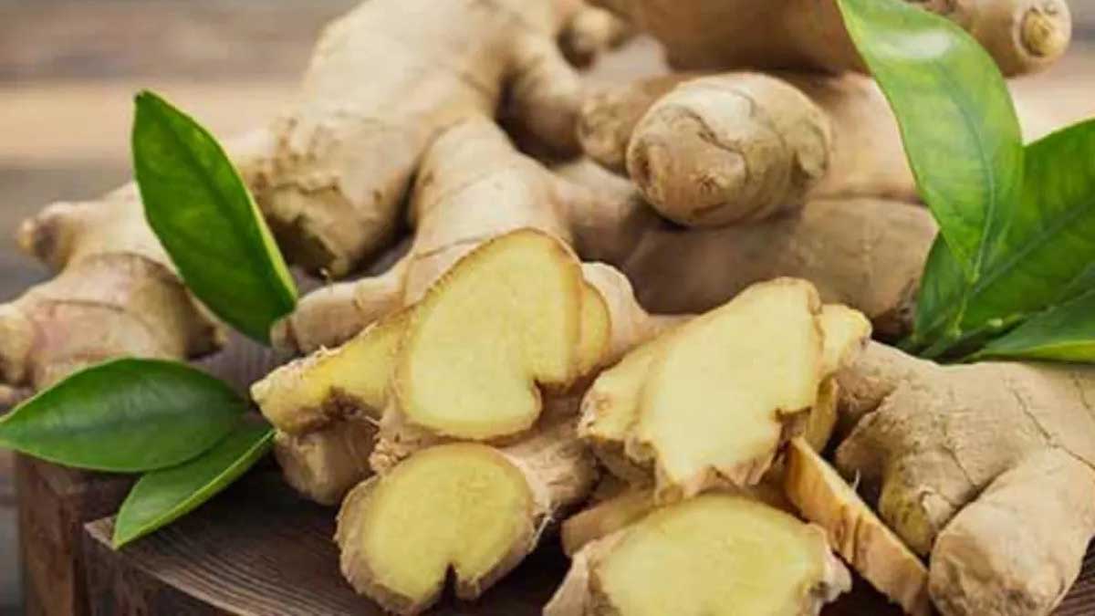 10 herbs can help in curing indigestion