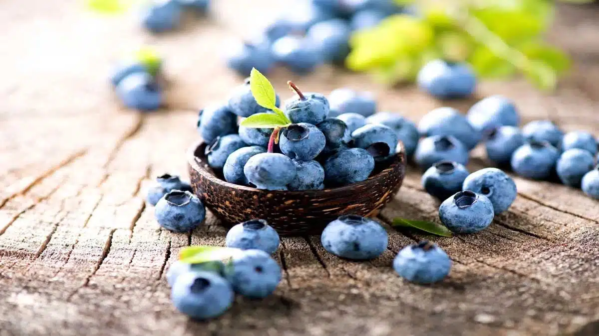 15 fruits to improve exercise ability