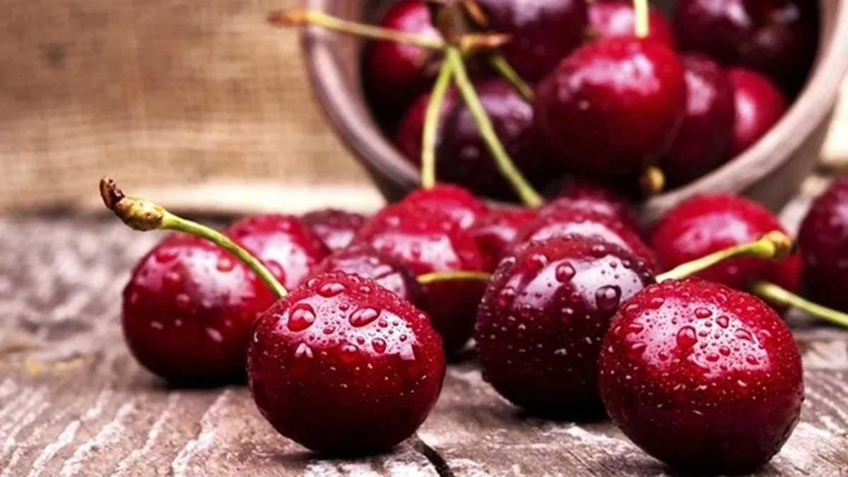 15 fruits to improve exercise ability