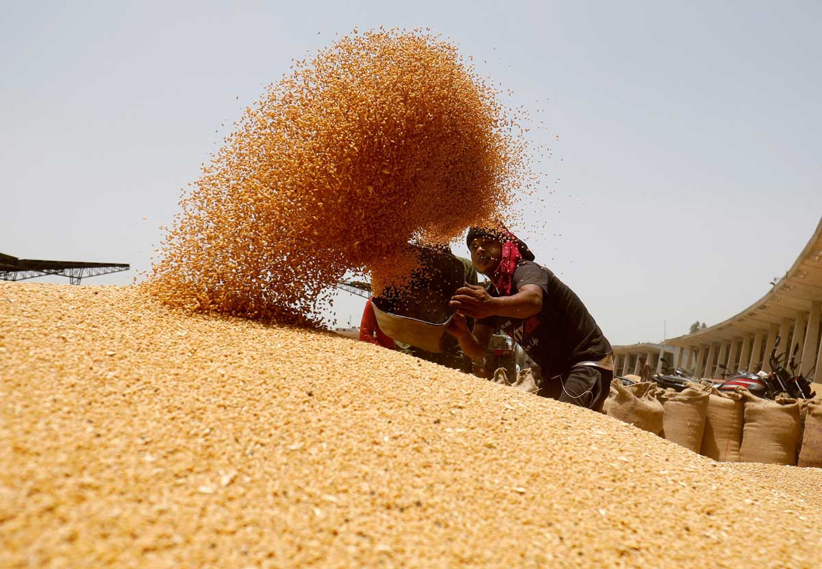 4 officials suspended in wheat scam in Pakistan