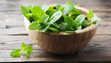 5 Easy Ways to Include More Mint in Your Diet