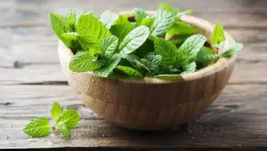 5 Easy Ways to Include More Mint in Your Diet