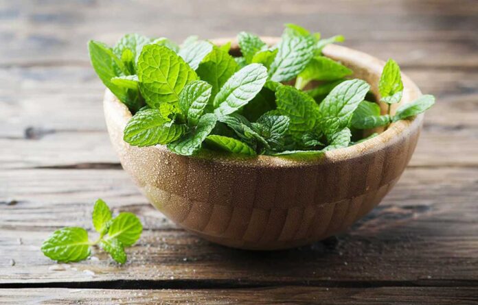 5 Easy Ways to Include More Mint in Your Diet
