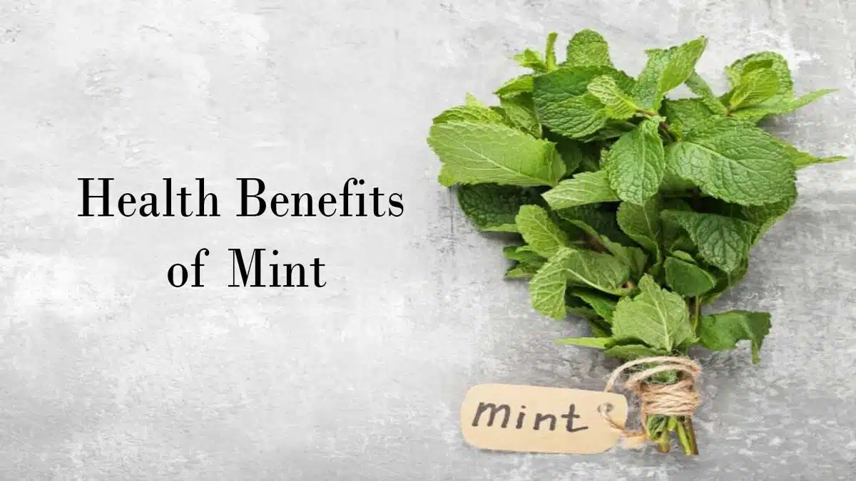 5 Easy Ways to Include More Mint in Your Diet