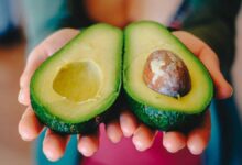 5 Healthy Avocado Recipes You Can Add to Your Diet