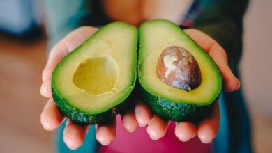 5 Healthy Avocado Recipes You Can Add to Your Diet