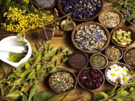 5 Natural Herbs for Depression
