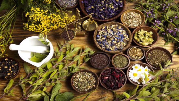 5 Natural Herbs for Depression