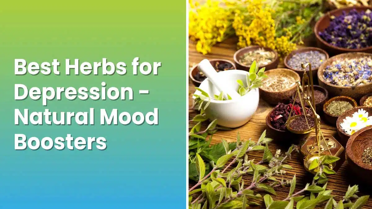 5 Natural Herbs for Depression