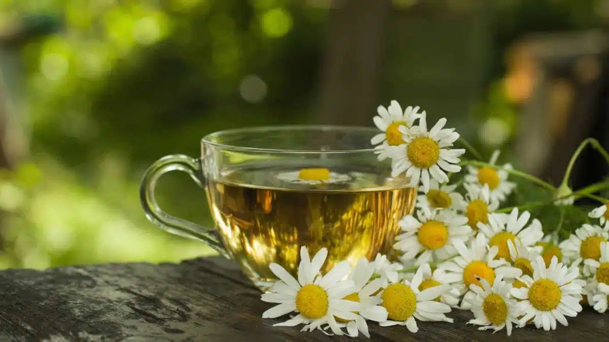 5 Natural Herbs for Depression