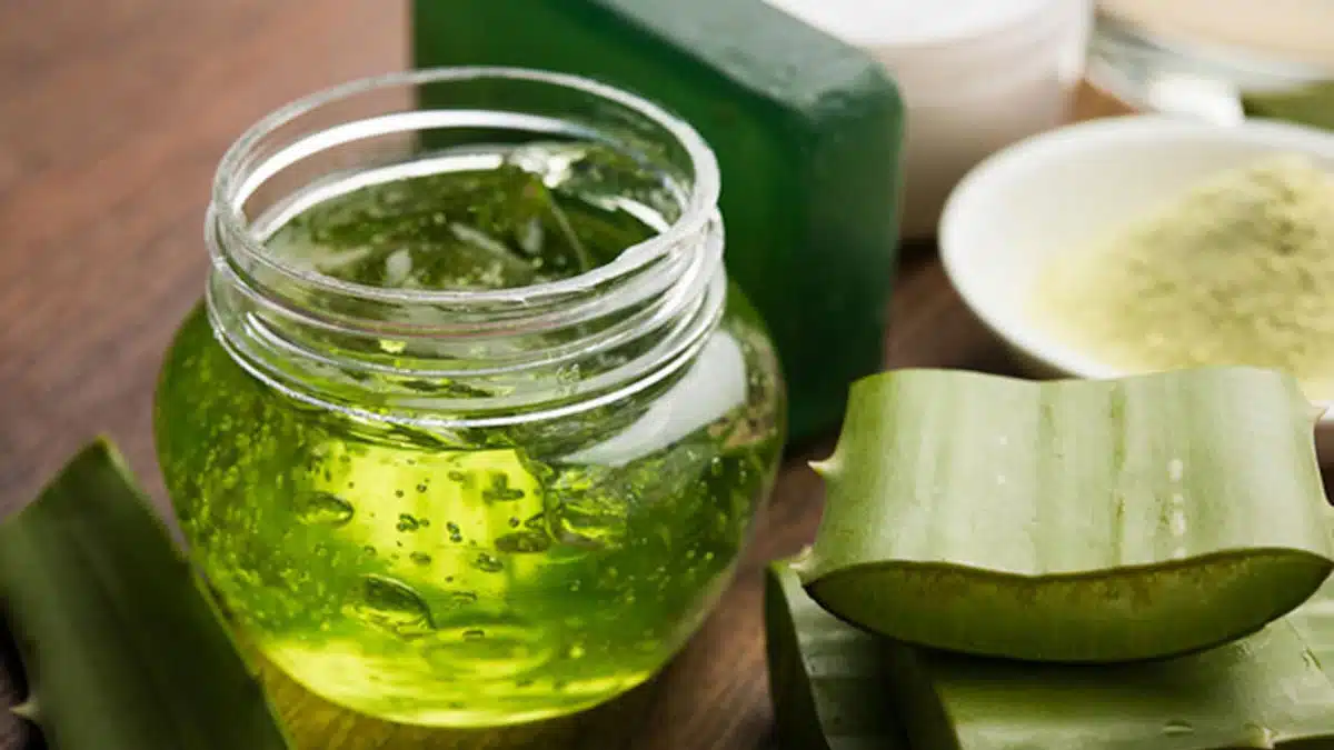 Aloe vera is helpful in removing these 3 hair related problems in summer.