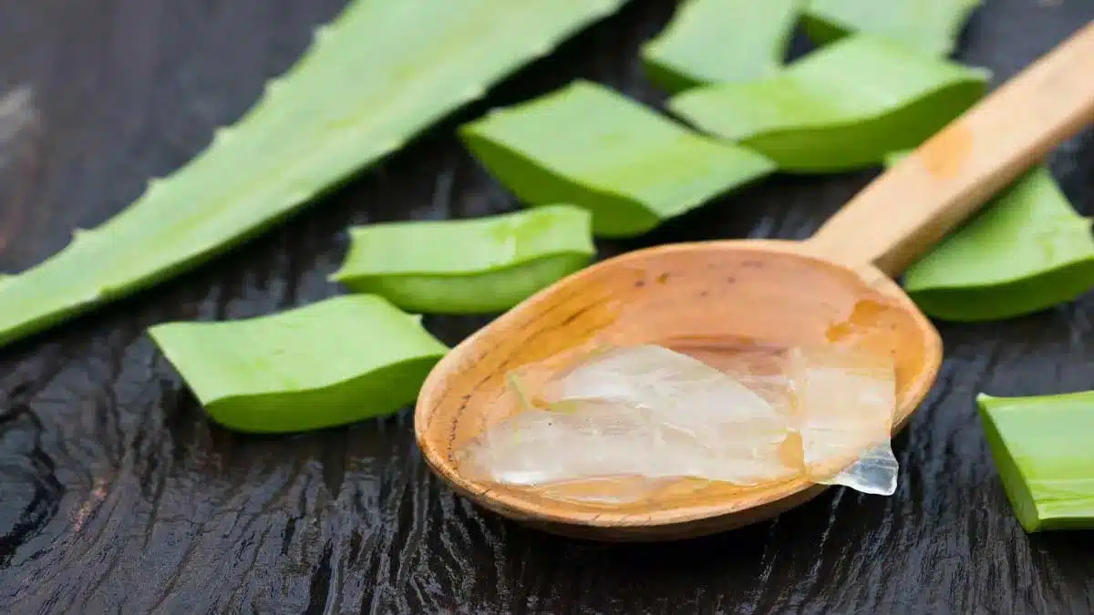 Amazing benefits of applying aloe vera on the face