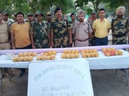 Amritsar Police foils cross border smuggling operation