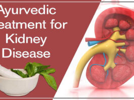 Ayurvedic treatment for Kidney function