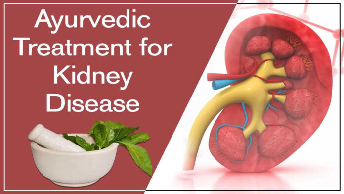 Ayurvedic treatment for Kidney function